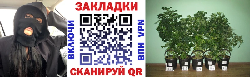 Наркошоп купить Cocaine  Бошки Шишки  APVP  Псилоцибиновые грибы  Меф  ГАШ  АМФЕТАМИН  Котовск