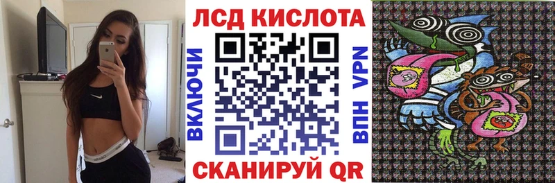 Марки N-bome 1,8мг  Купить закладки  Котовск 