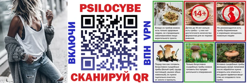 Псилоцибиновые грибы Cubensis Котовск