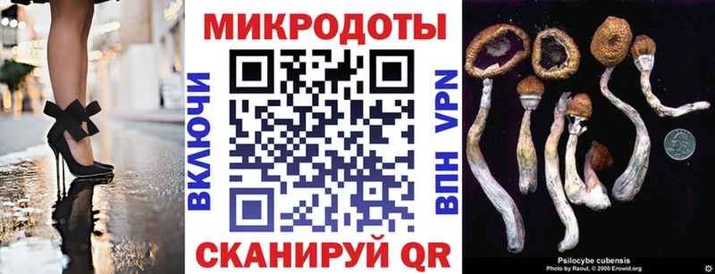 Купить закладки  Котовск  Галлюциногенные грибы мухоморы 